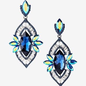 Oblong Teardrop Earrings